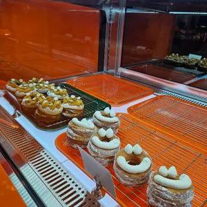 비비드 사진