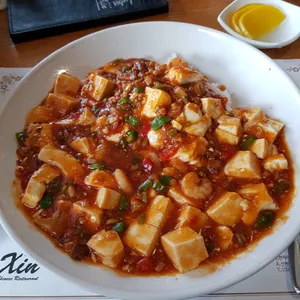 Xin 사진