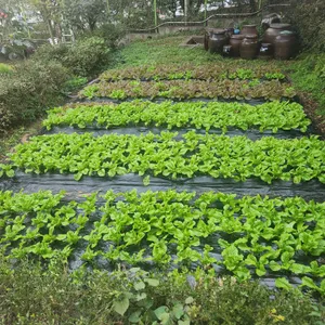 뜰에서화로구이 리뷰 사진