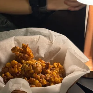 노스터 사진
