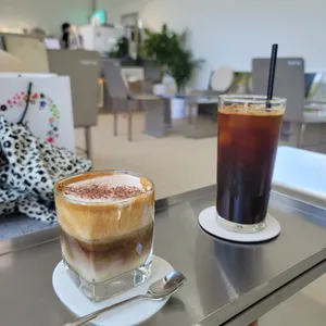 톰토 사진