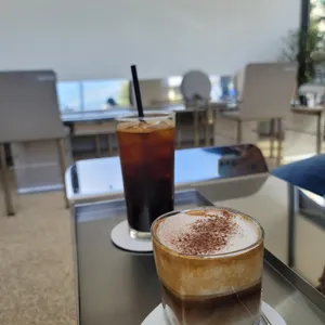 톰토 사진