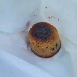 톰토 사진