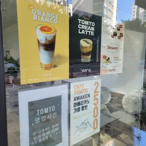 톰토 리뷰 사진