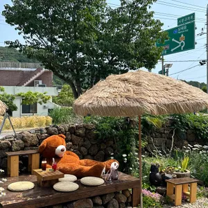 안화 사진