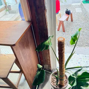 쏘네 리뷰 사진