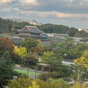 텅 리뷰 사진