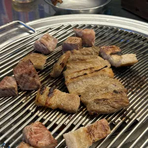부엉이 마을 사진