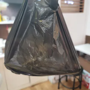 통통김밥 사진