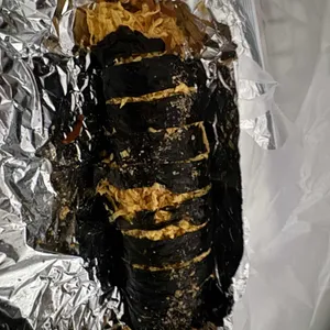 꺼벙이김밥 사진