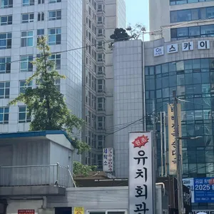 유치회관 리뷰 사진