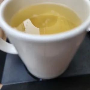 보사노바 베이커리랩 사진