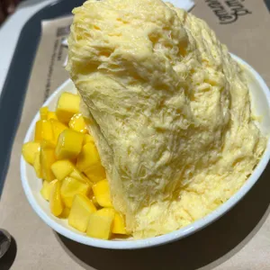 로이즈 사진