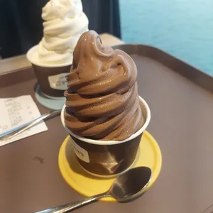 프롬나드 사진