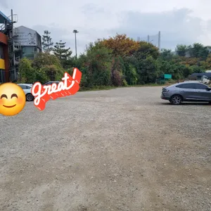 원조송화쭈꾸미 리뷰 사진