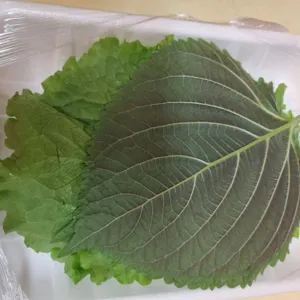 족발의장인 사진