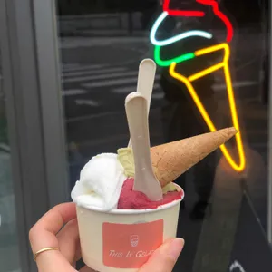 디스이즈 젤라또 사진