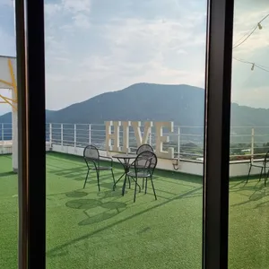 하이브 리뷰 사진