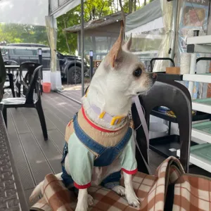 수덕산맥 리뷰 사진