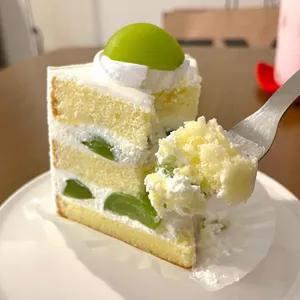 윔시 사진