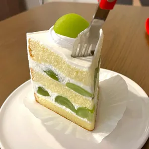 윔시 사진