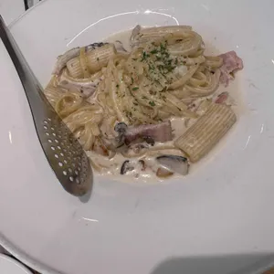 뚜띠쿠치나 사진