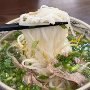 포꼬 사진