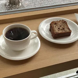 파오리 사진