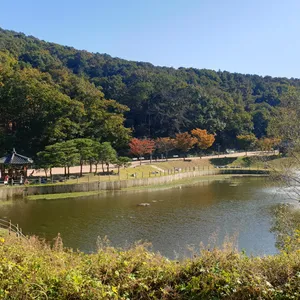 꽁카페 리뷰 사진