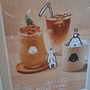 보들타운 사진