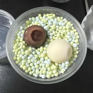 버블망고 사진