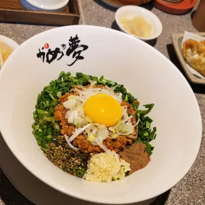 거북이의 꿈 사진