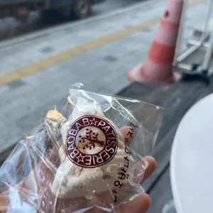 바오밥나무 사진
