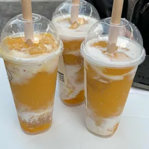 헤이티 사진