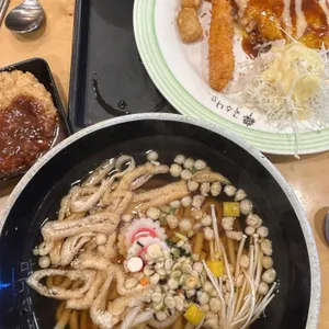 국수나무 사진