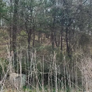 장단콩맛집 대표 사진