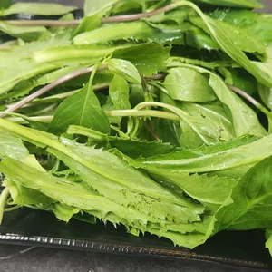 아시아식당 사진 2