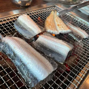 불끈힘센장어 사진