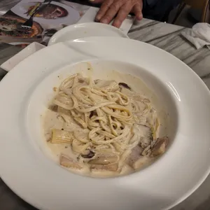 뚜띠쿠치나 사진