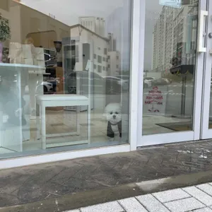 소프트크림케이커리 리뷰 사진