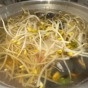 양꽃 사진