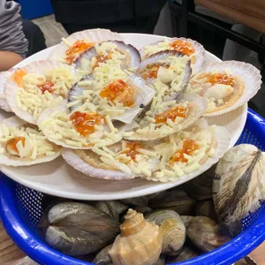 행운동조개 사진