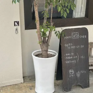 하치카페 리뷰 사진