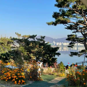 카페 뷰66 리뷰 사진