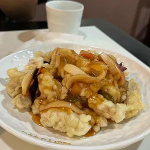시향 사진