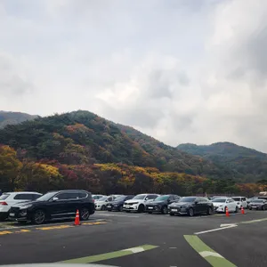 하늘재식당 리뷰 사진