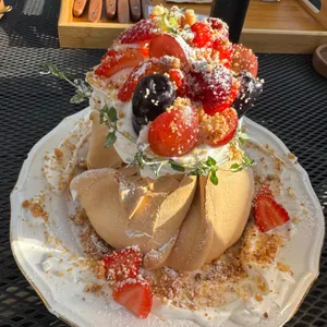 토라비 사진