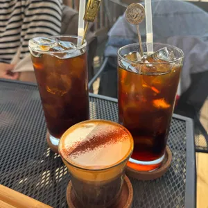 토라비 사진
