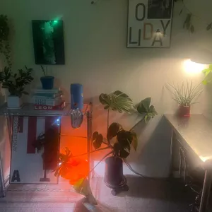 티티오 리뷰 사진