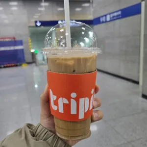 트리핀 사진